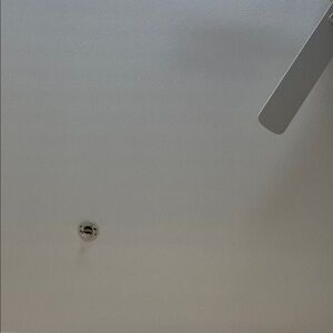 Modern Ceiling Fan Blade